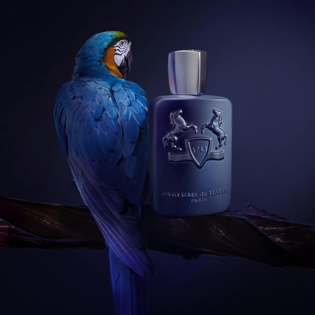 Parfums de Marly Layton Eau de Parfum 125 ml bottle